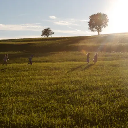 Kinder laufen über eine sonnige Wiese mit Bäumen