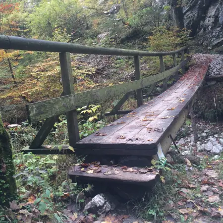 Holzsteg mit Geländer in einer Waldschlucht